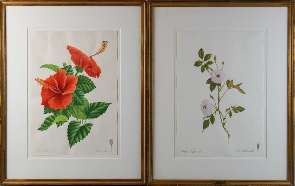 james linton sain american 1936 2000 a pair of botanical studies of roses watercolor and graphite on paper 16 x 11 in full she · Potomack Company · 2019-02-02 James Linton Sain comparable auction result: james linton sain american 1936 2000 a pair of botanical studies of roses watercolor and graphite on paper 16 x 11 in full she