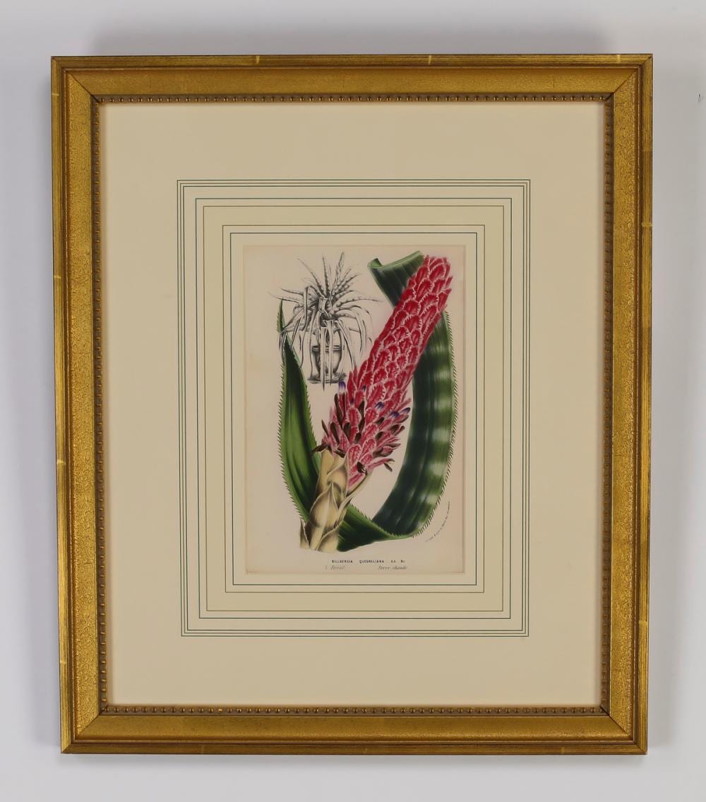 Louis Van Houtte comparable auction result: 6 19th c belgian botanical lithographs