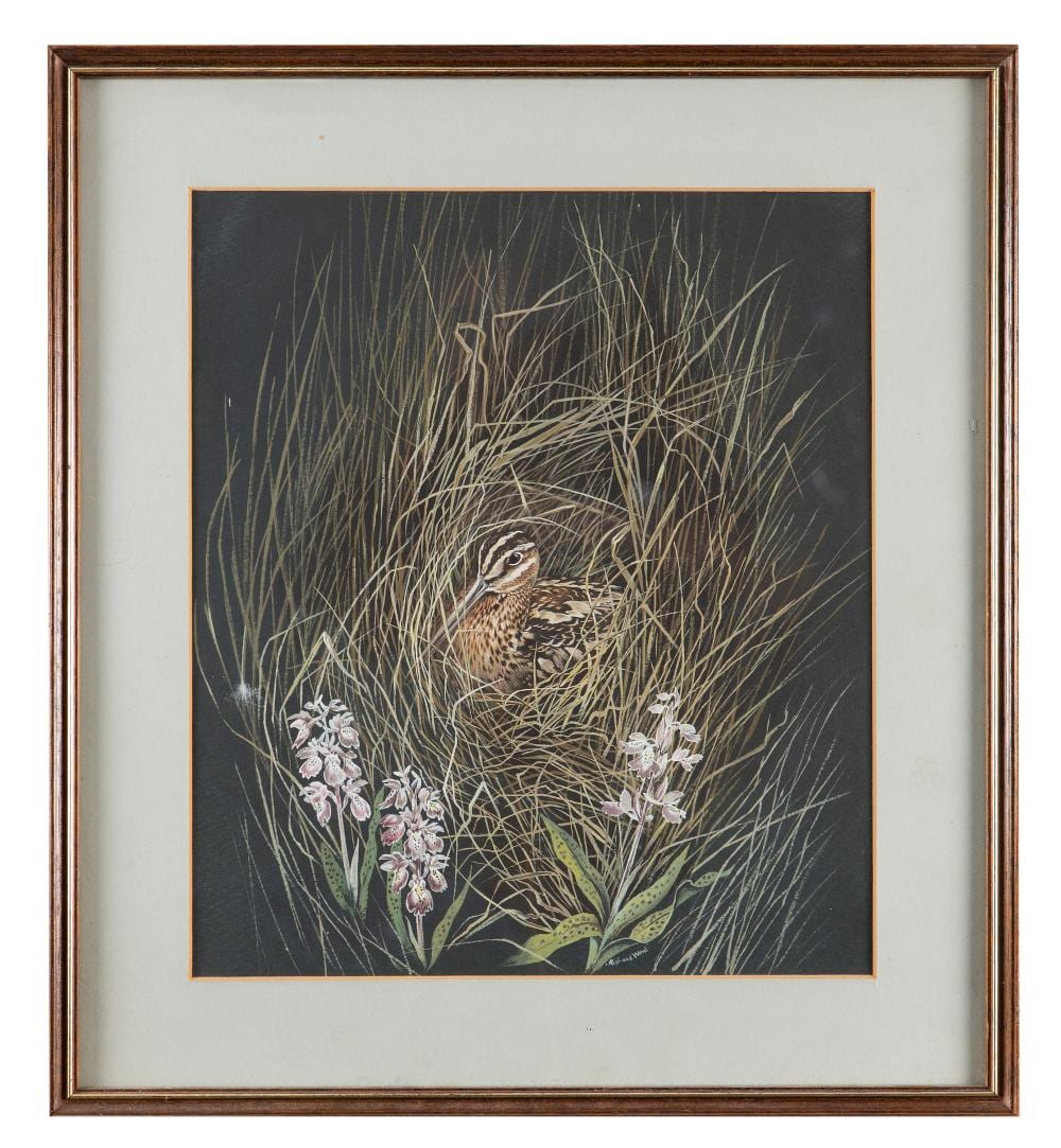 richard ward b 1944 snipe in reeds with bluebellswatercolour 37 x 33cmsigned · Adam's · 2019-02-24 Richard Ward comparable auction result: richard ward b 1944 snipe in reeds with bluebellswatercolour 37 x 33cmsigned
