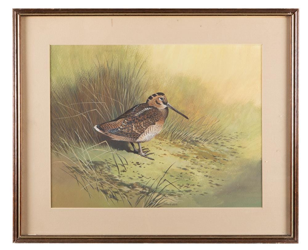 richard ward b 1944 snipe in green reedswatercolour 31 x 40cmsigned · Adam's · 2019-02-24 Richard Ward comparable auction result: richard ward b 1944 snipe in green reedswatercolour 31 x 40cmsigned