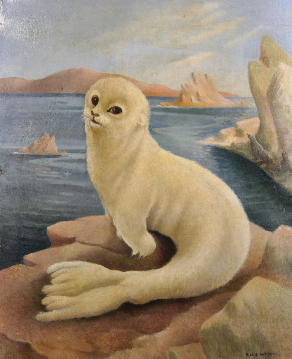 Billie Waters comparable auction result: billie waters 1896 1979 british a seal pup on a rock with the sea beyond oil on artist s board signed unframed 19 75 x 15 75