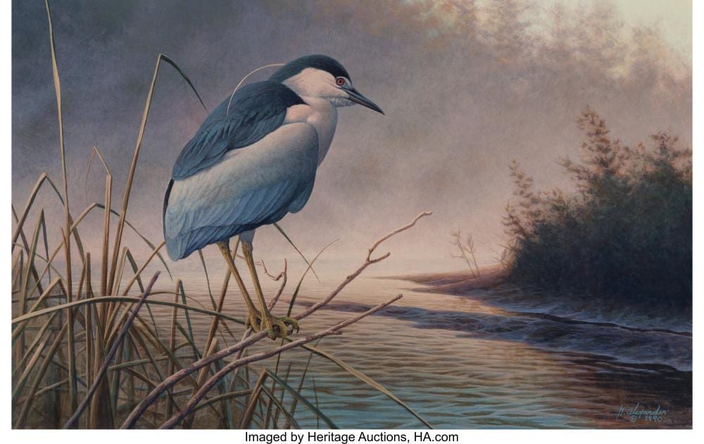 Gregory Alexander comparable auction result: greg alexander american b 1960 black crowned night heron 1990 acrylic on bo