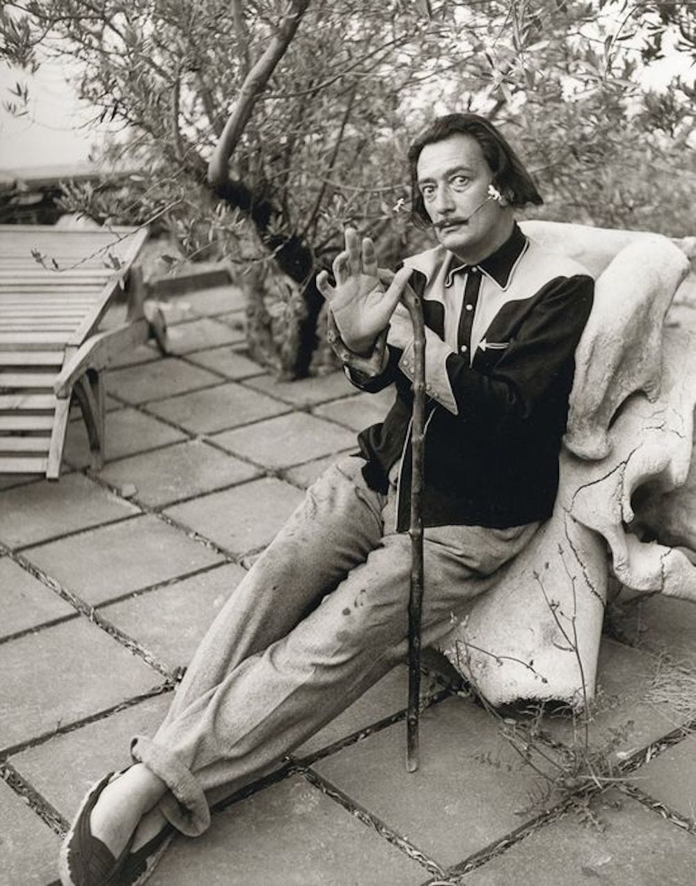 Jean Dieuzaide comparable auction result: jean dieuzaide salvador dali on elephant skull