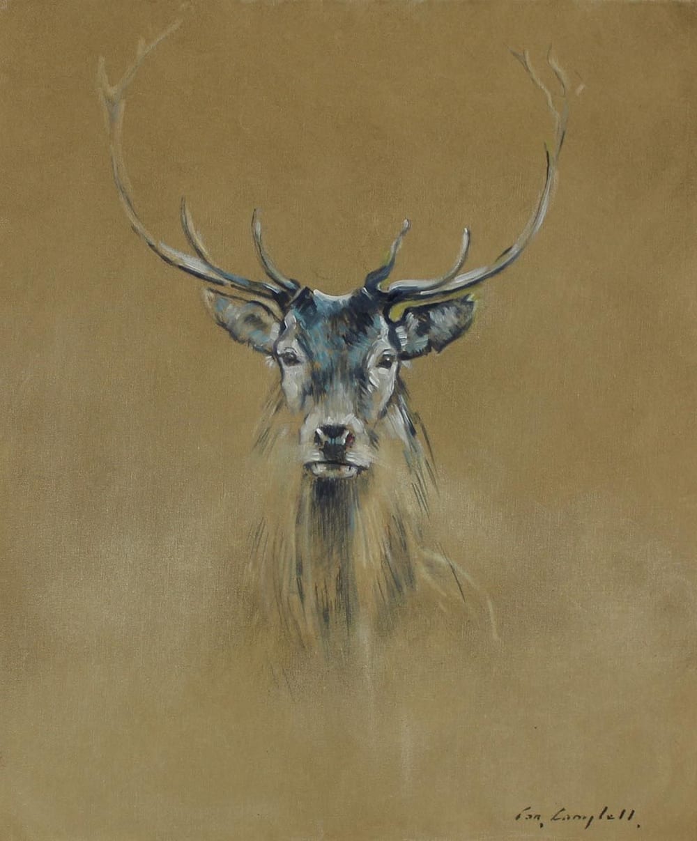 Con Campbell comparable auction result: con campbell the county down stag