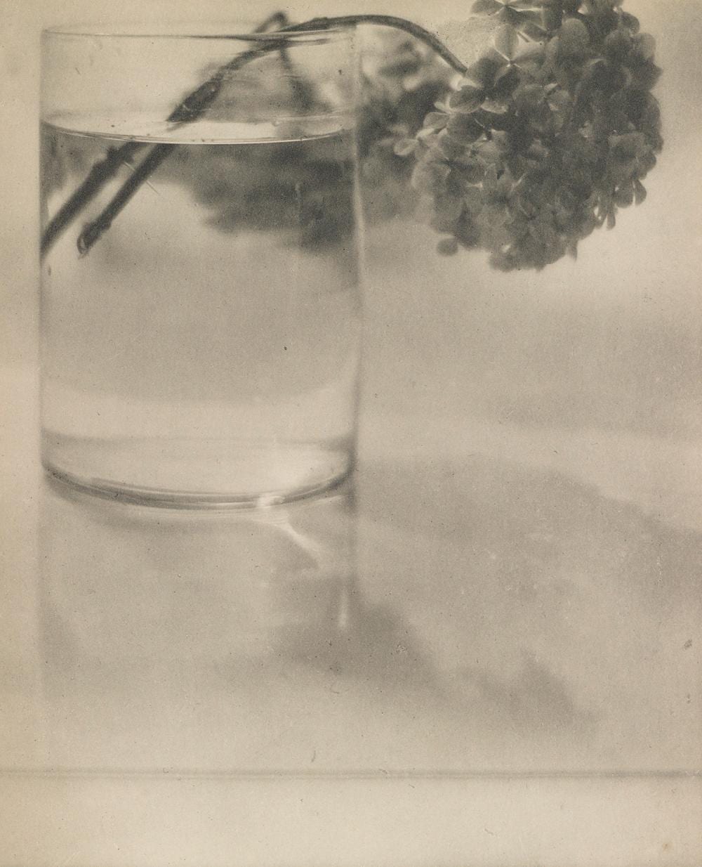 Baron Adolf De Meyer comparable auction result: baron adolf de meyer et alia camera work number 24 camera work number 40