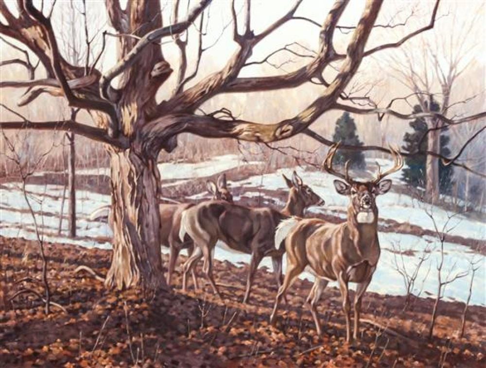 Daniel Metz comparable auction result: dan metz 26 x 36 inches