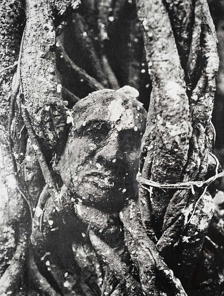 patrick van caeckenbergh n en 1960 project for plantman 1991 · Cornette de Saint-Cyr-Bruxelles · 2019-04-28 Patrick van Caeckenbergh comparable auction result: patrick van caeckenbergh n en 1960 project for plantman 1991