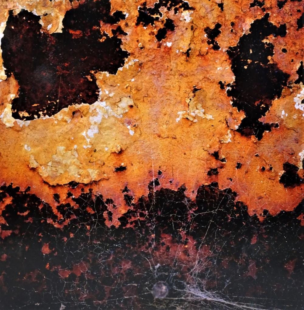Mario Duse comparable auction result: mario duse american signed photograph aluminum