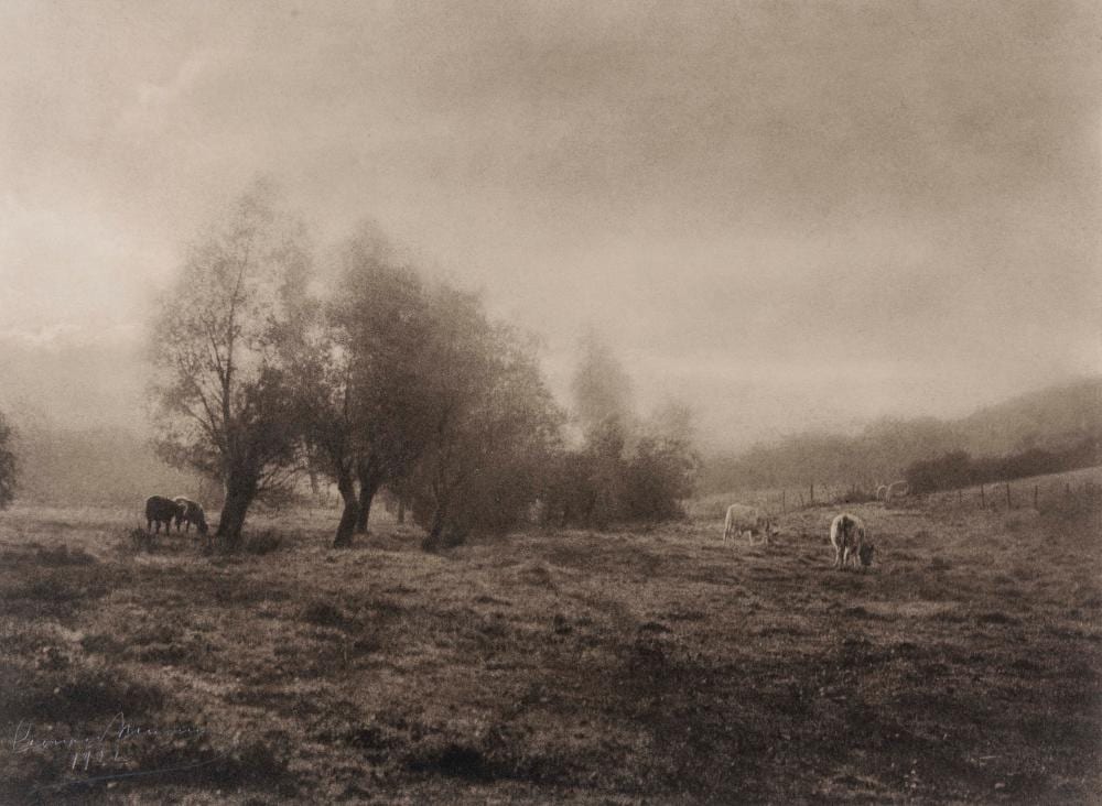 Lénard Misonne comparable auction result: l onard misonne 1870 1943