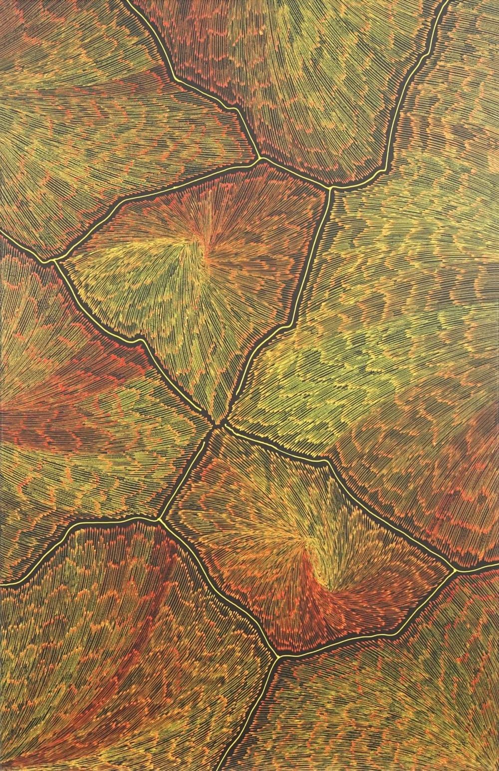 Sarrita King comparable auction result: sarrita king 1988 lightning 90 x 60cm stretched and ready to hang