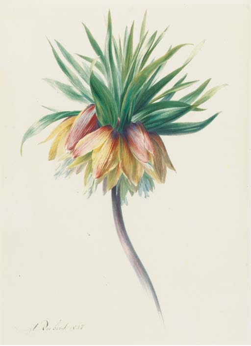 Hendrik Reekers comparable auction result: hendrik reekers haarlem 1815 1854
