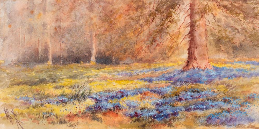 marian ellis rowan 1848 1922 bluebells watercolour · Gibson's · 2019-06-16 Mariano Andreu y Estrany comparable auction result: marian ellis rowan 1848 1922 bluebells watercolour