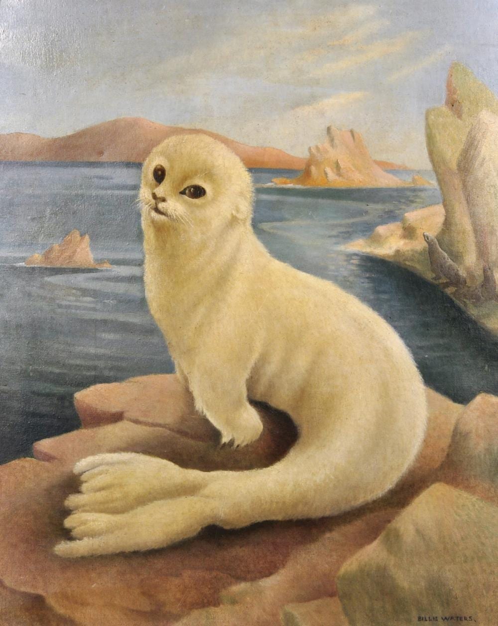 Billie Waters comparable auction result: billie waters 1896 1979 british a seal pup on a rock with the sea beyond oil on artist s board signed unframed 19 75 x 15 75