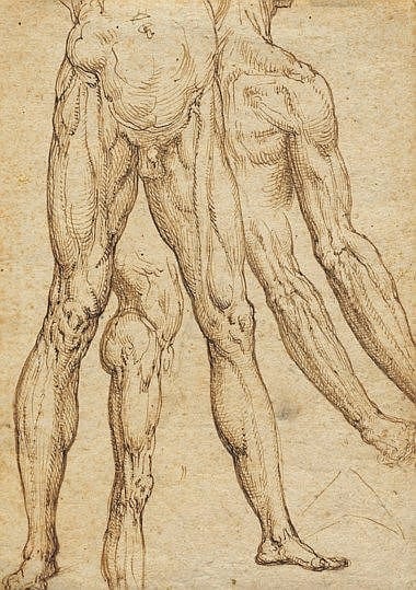 Aurelio Luini comparable auction result: aurelio luini luino circa 1530 1593 milan studies of legs lower torsos arms and a shoulder recto faint study pen and brown ink on buff paper 9 x 6 in 24 6 x 17 cm
