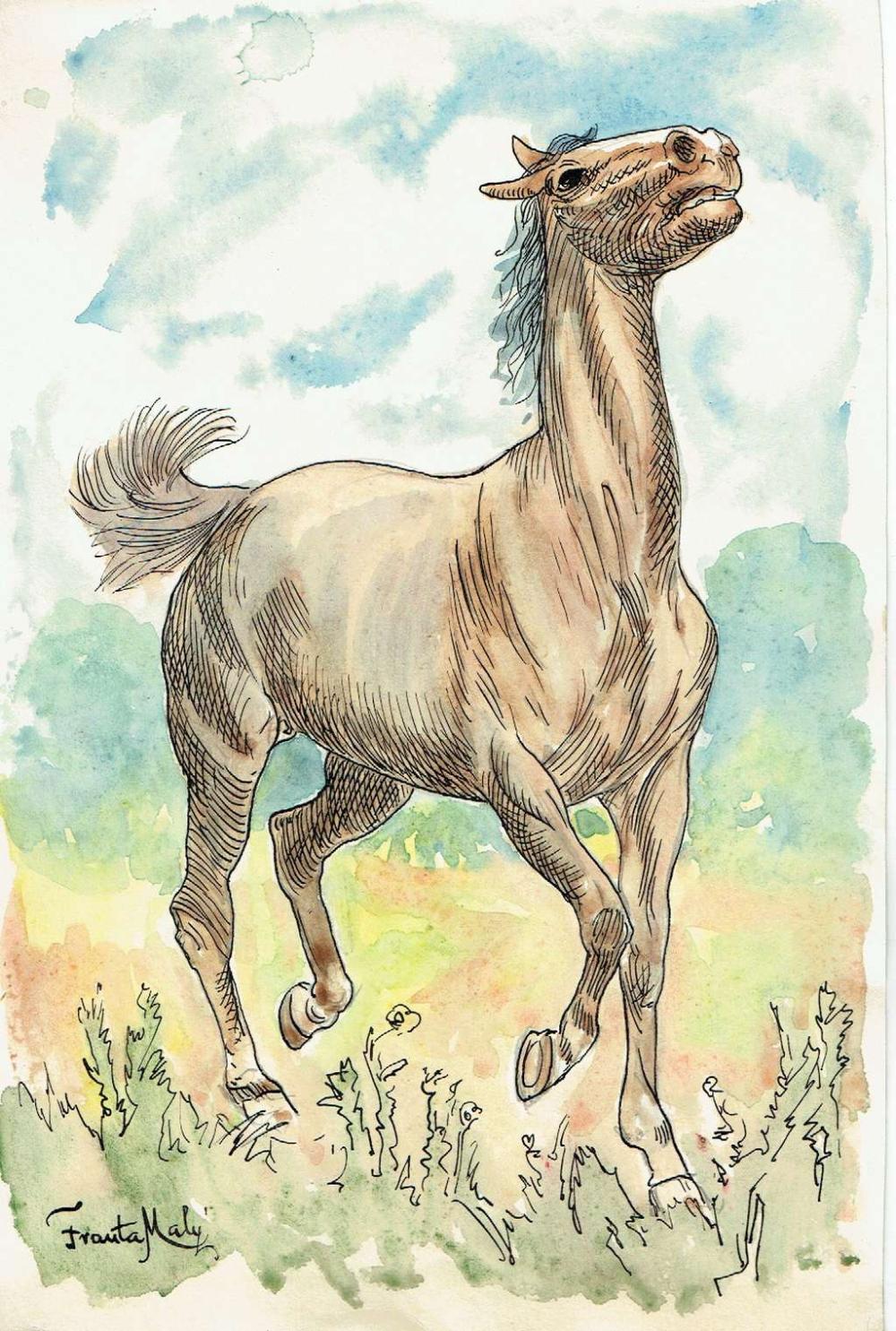frantisek maly 1900 1980 czech artist watercolor pencil ink drawing horse signed 36 x 24 cm · The Bidder · 2019-08-07 Frantisek Maly comparable auction result: frantisek maly 1900 1980 czech artist watercolor pencil ink drawing horse signed 36 x 24 cm
