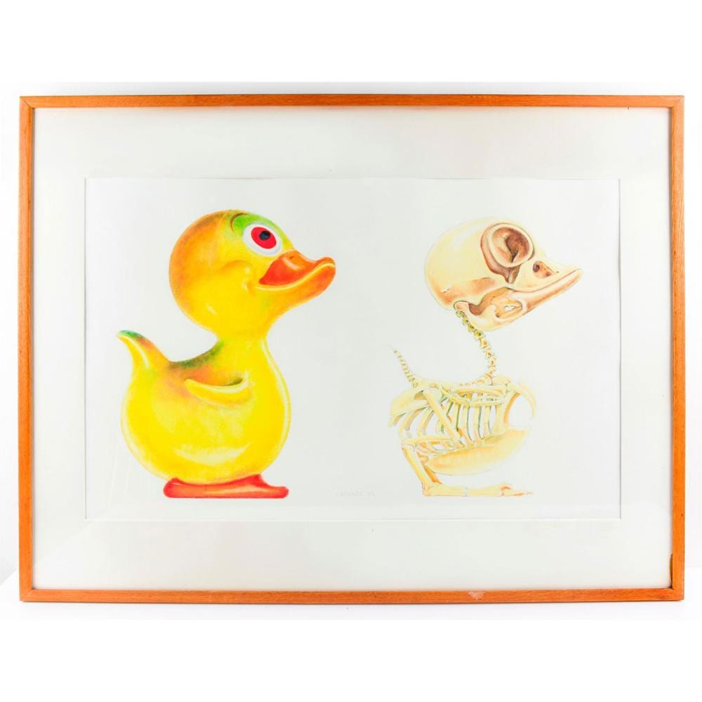 John Kindness comparable auction result: john kindness drawing anatomy of rubber duck 1989