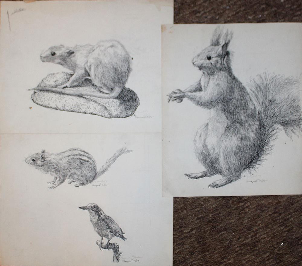 Eugenie Gershoy comparable auction result: eugenie gershoy am 1901 1983