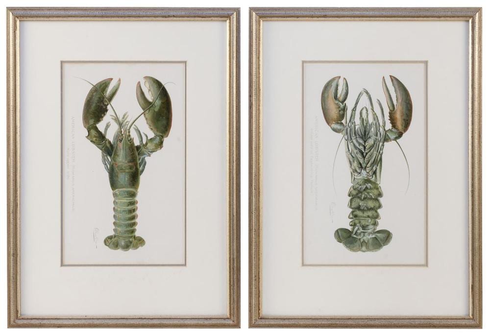 Sherman Denton comparable auction result: sherman denton washington d c new york massachusetts 1856 1907 two chromolithographs depicting american lobsters circa 1895 19