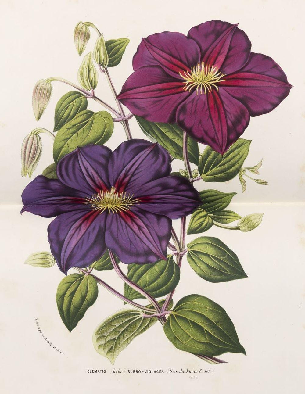 Charles Lemaire comparable auction result: charles lemaire michel j f scheidweiler louis beno