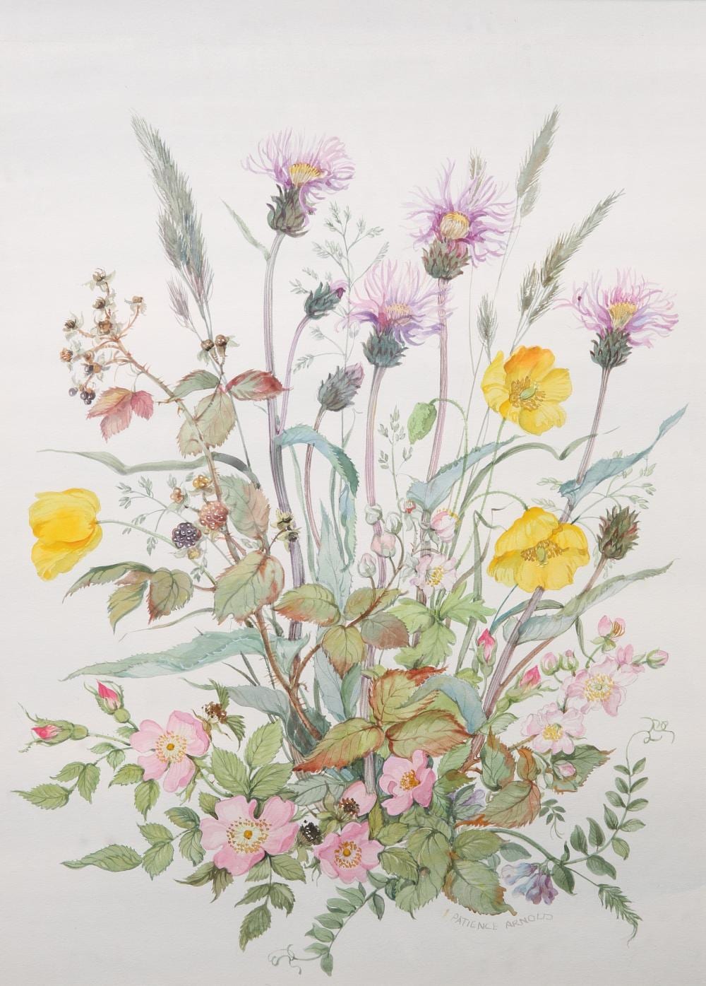 Patience Arnold comparable auction result: patience arnold 1901 1992 study of flowers signed lower right watercol