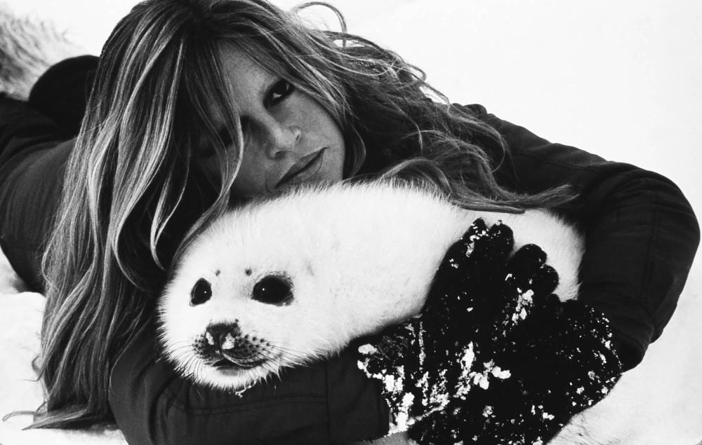Leonard de Raemy comparable auction result: leonard de raemy 1924 2000 brigitte bardot 1977 tirage argentique sign et num rot 8 30