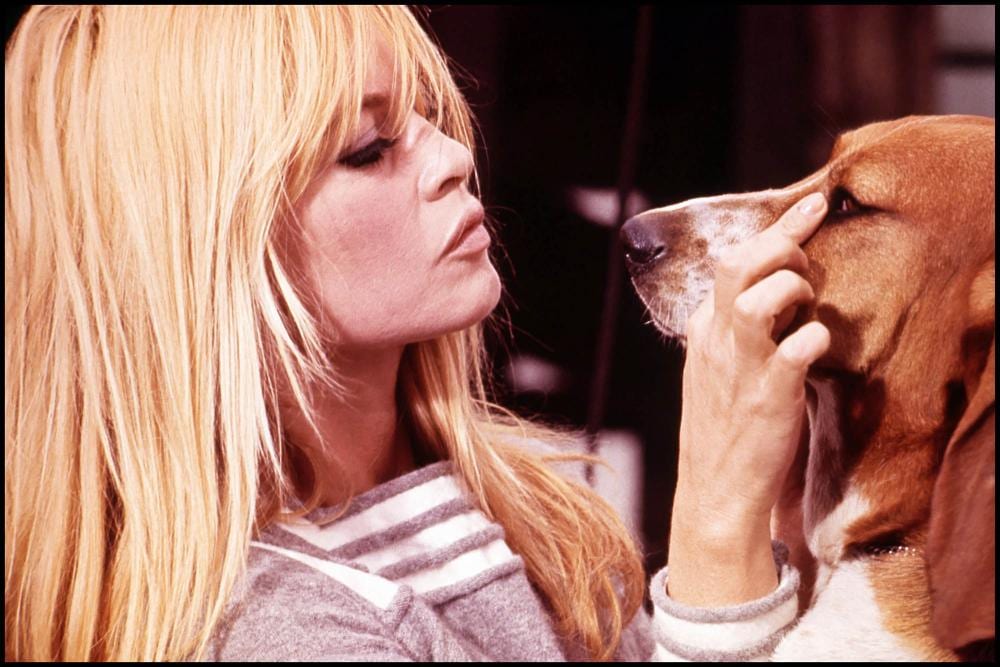 Leonard de Raemy comparable auction result: leonard de raemy 1924 2000 brigitte bardot et un labrador tirage argentique sign et num rot 7 30