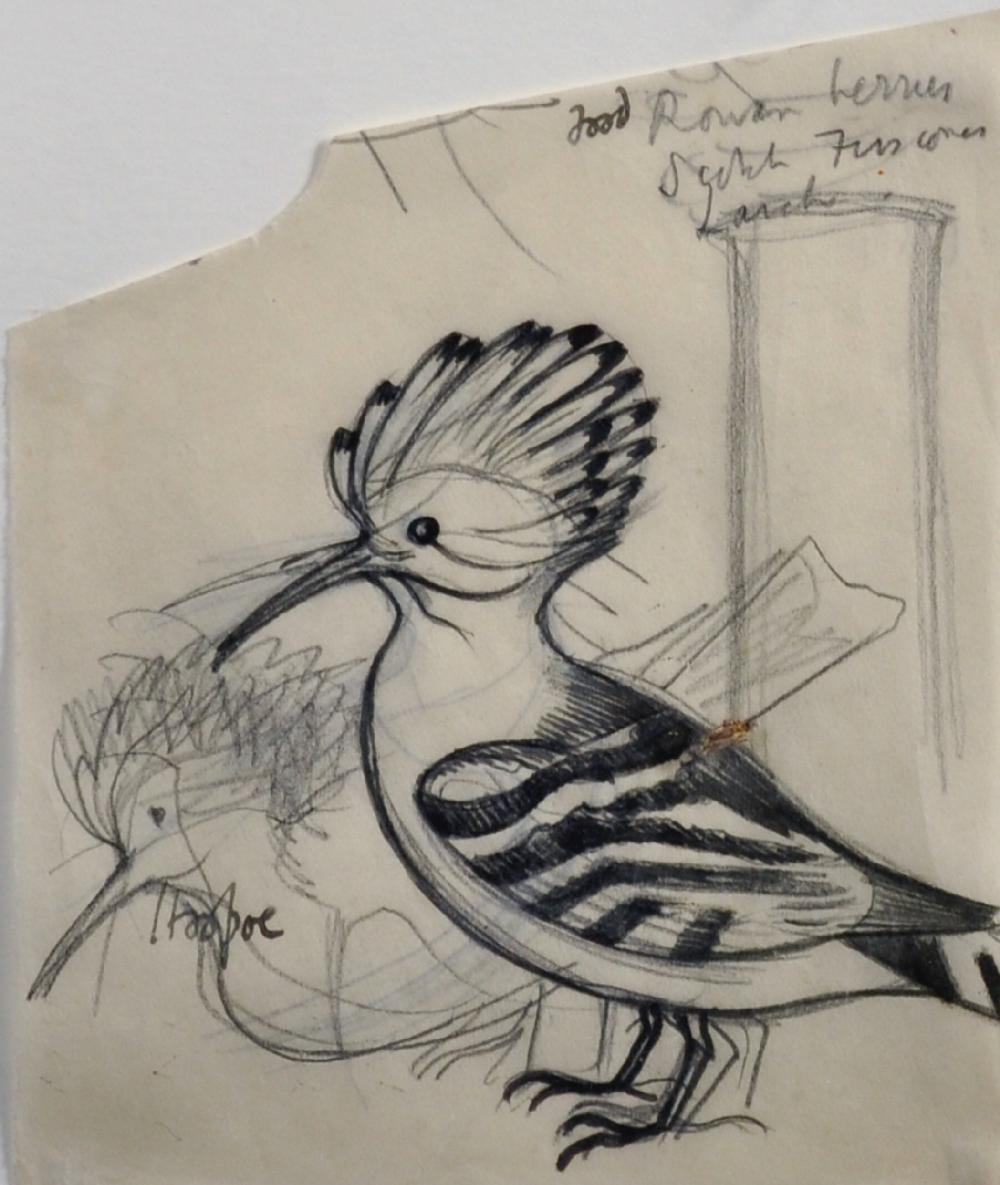 John Northcote Nash comparable auction result: john northcote nash 1893 1977 british hoopoe study of two hoopoes for the natural history of selborne by gilbert white