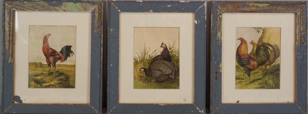 Harrison William Weir comparable auction result: harrison william weir british 1824 1906 a group of three fowl color print 7 3 8 x 5 1 2 in