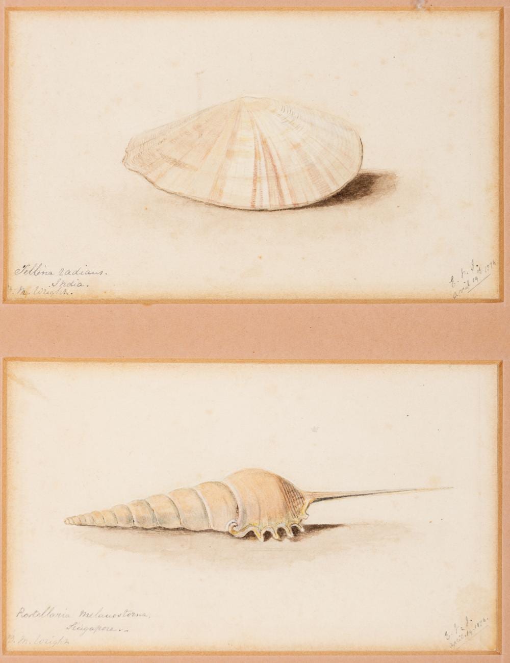Ernest Henry Griset comparable auction result: ernest henry griset 1843 1907