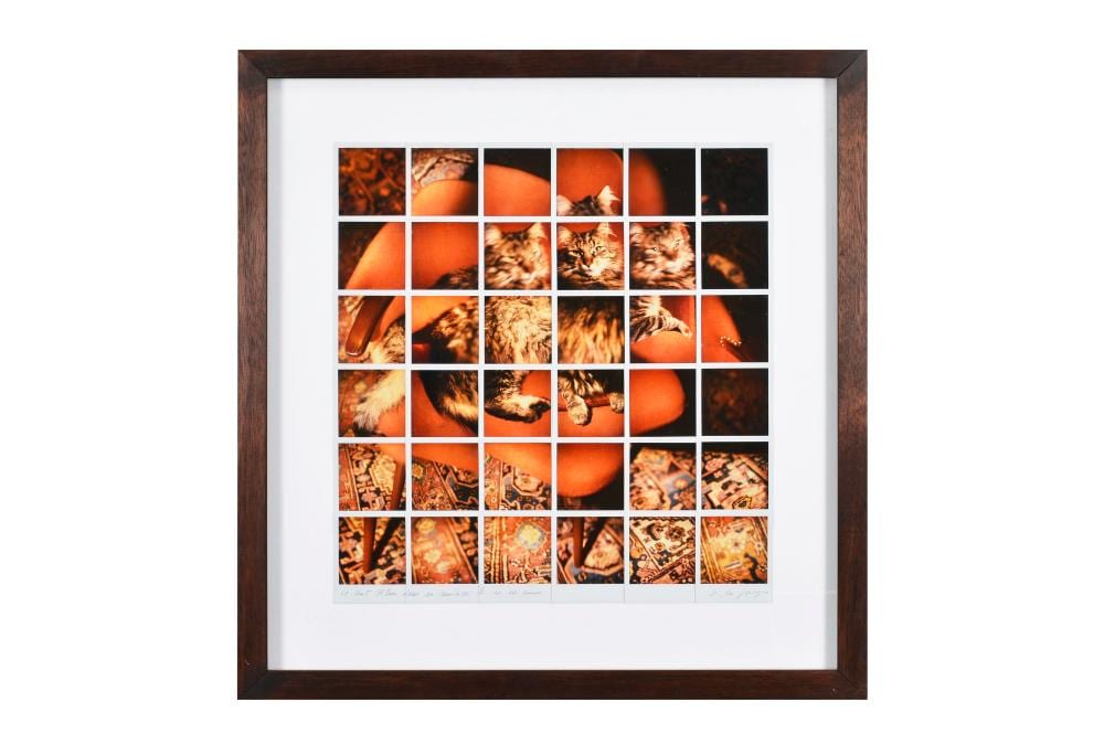 Stefan De Jaeger comparable auction result: polaroids of a cat