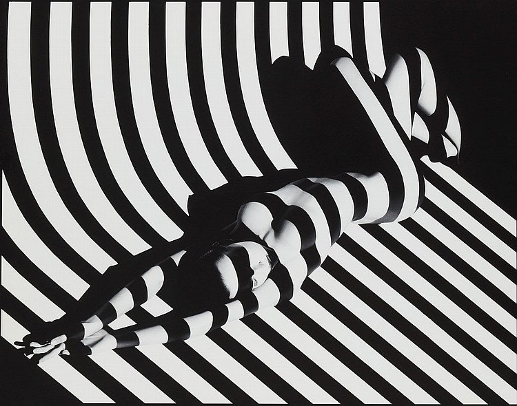 Francis Giacobetti comparable auction result: francis giacobetti n en 1939 zebra 17 paris 1988