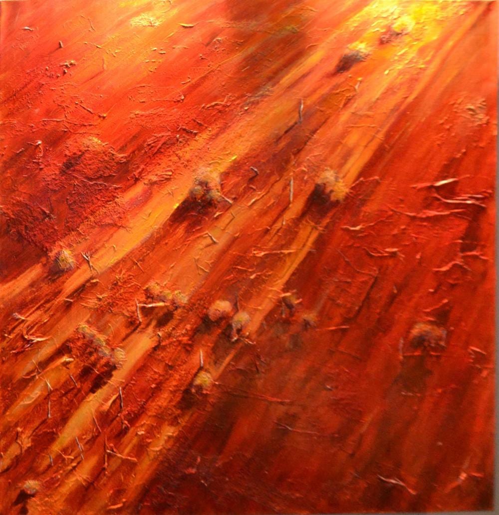 Denise Campbell comparable auction result: denise campbell born 1952 the mallee 2002 oil and fibre on canvas on four member pine trainer stapled to reverse