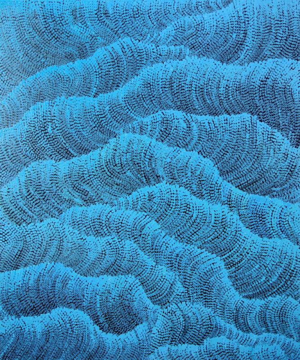 Maureen Hudson Nampitjinpa comparable auction result: maureen hudson nampitjinpa sand dunes