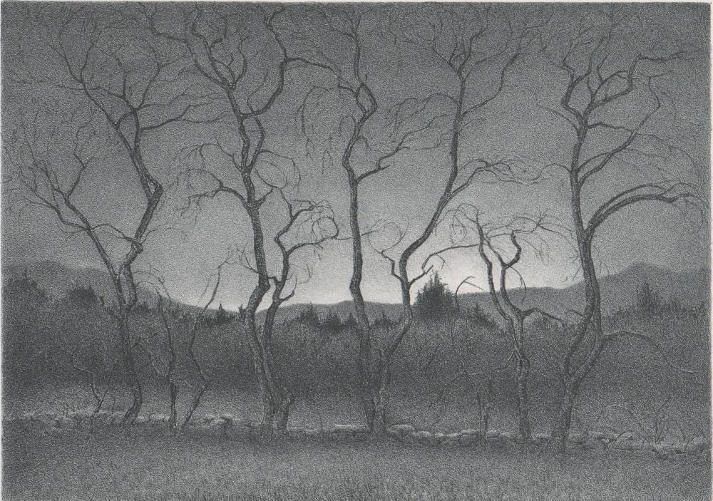 Ella Fillmore Lillie comparable auction result: ella fillmore lillie lithograph trees