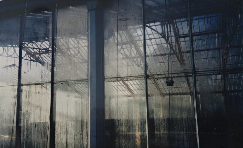 Janet Laurence comparable auction result: janet laurence born 1949 glasshouse series 2004 duraclear and aluminium