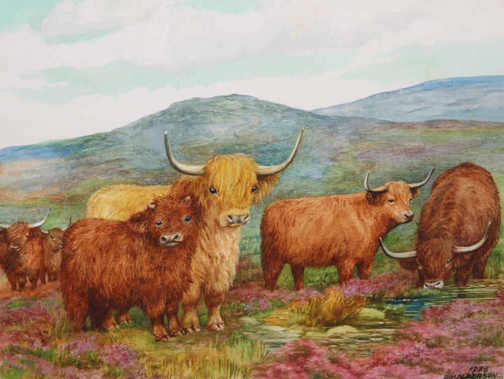 dorothy margaret alderson 1900 1992 highland cattle signed and dated 19 · Elstob Auctioneers · 2019-11-24 Dorothy Margaret Alderson comparable auction result: dorothy margaret alderson 1900 1992 highland cattle signed and dated 19