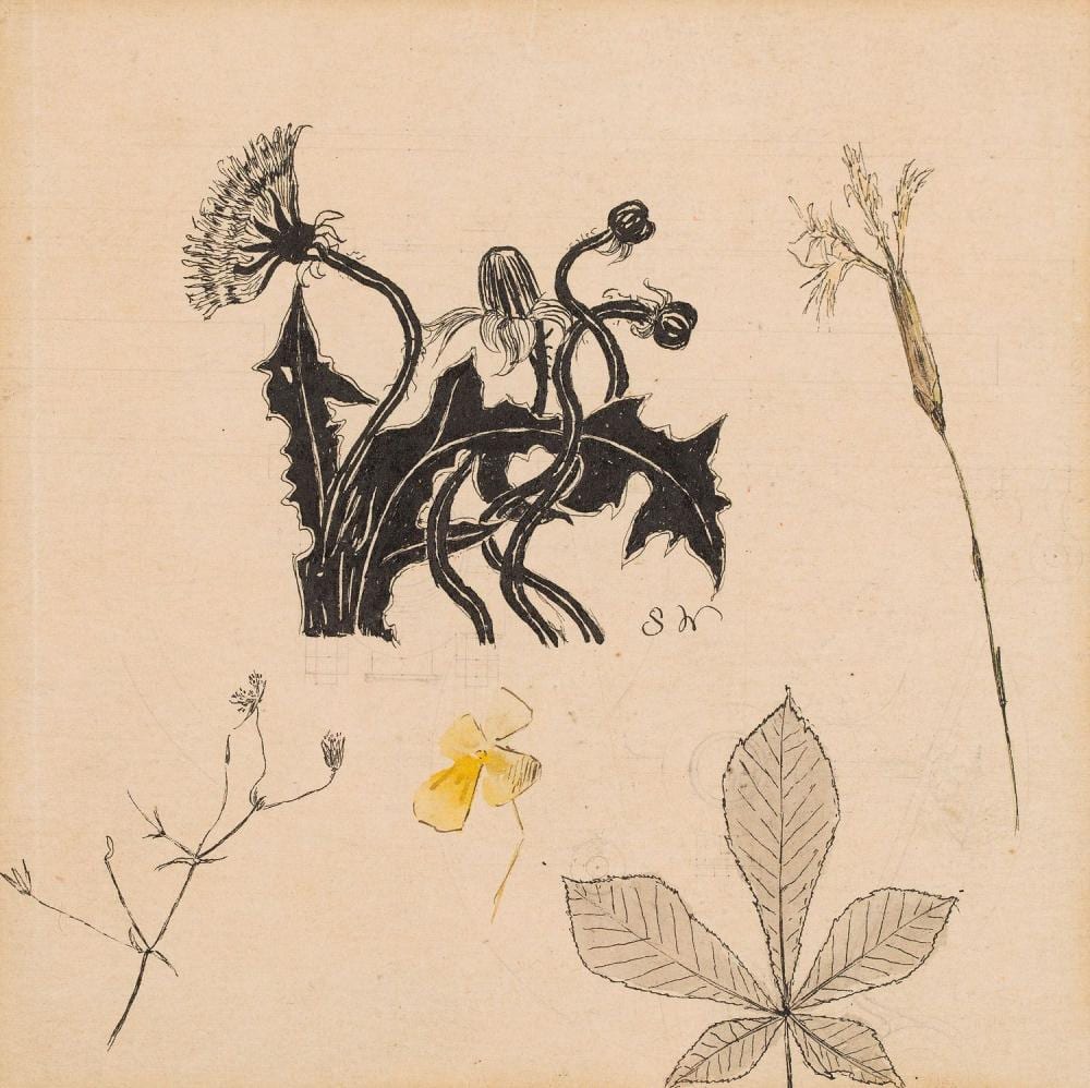 Stanislaw Wyspianski comparable auction result: stanislaw wyspianski 1869 1907 dandelions and plant studies from zielnik recto sketch of a female figure verso circa 1897