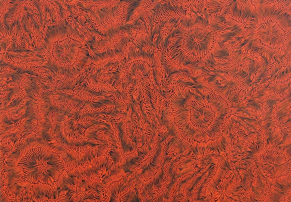 Fabrianne Peterson Nampitjinpa comparable auction result: fabrianne peterson nampitjinpa fire dreaming