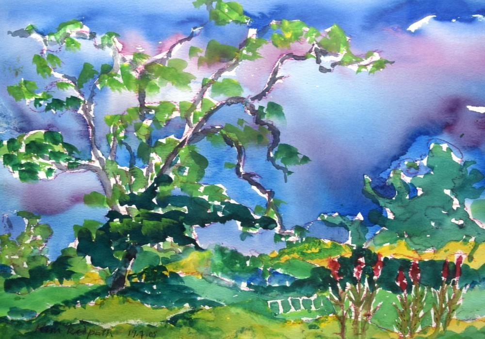Kim Redpath comparable auction result: kim redpath b 1925 framed watercolour a gusty day near lanark landscape 40 cm x 57 cm