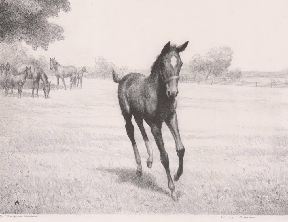 Clarence William Anderson comparable auction result: clarence william anderson lithograph horse