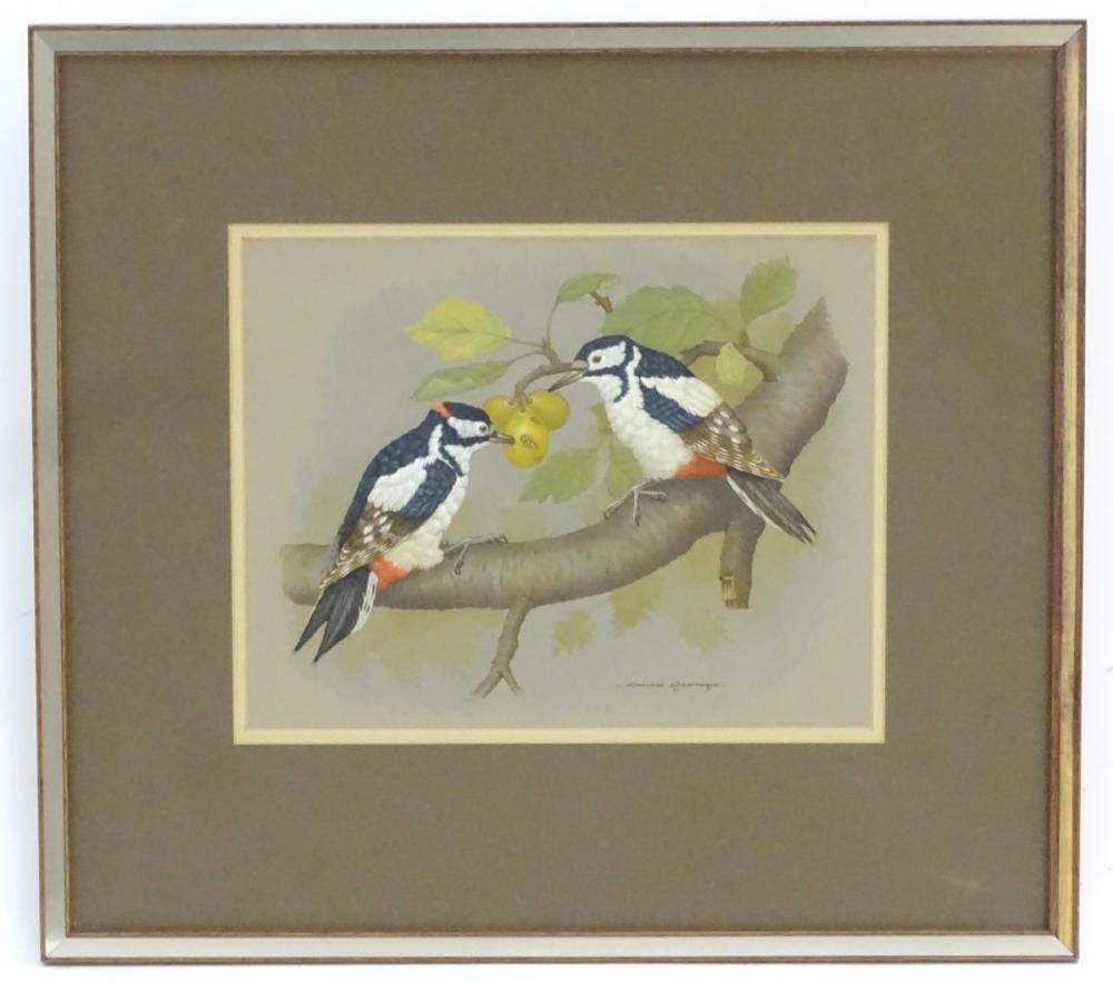 David Andrews comparable auction result: david andrews xx ornithological school watercol
