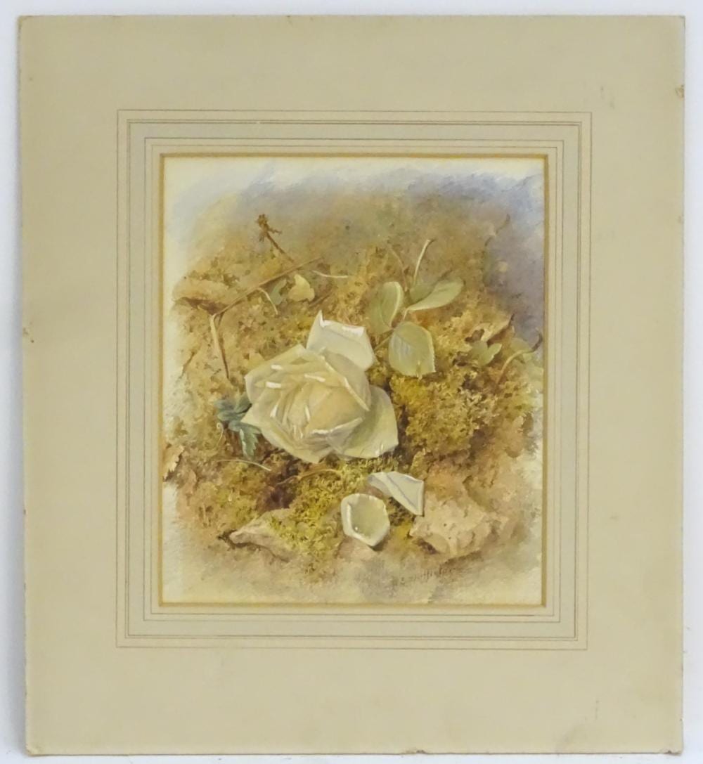 Mary Elizabeth Duffield comparable auction result: mary elizabeth duffield 1819 1914 english schoo
