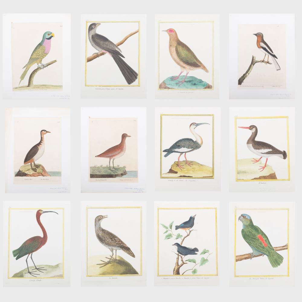 François Nicolas Martinet comparable auction result: fran ois nicolas martinet 1725 31 1804 planches enlumin es d histoire naturelle twenty plates