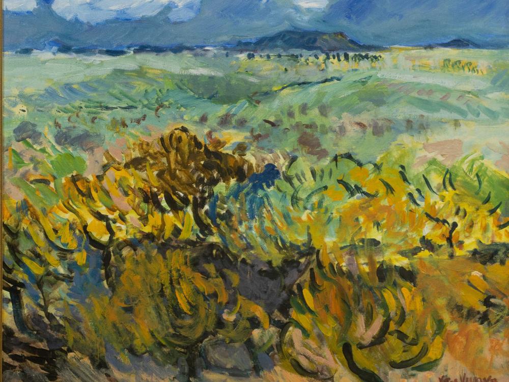 Andre van Vuuren comparable auction result: andre van vuuren sa born 1945 oil landscape signed dated 1991 46 x 56