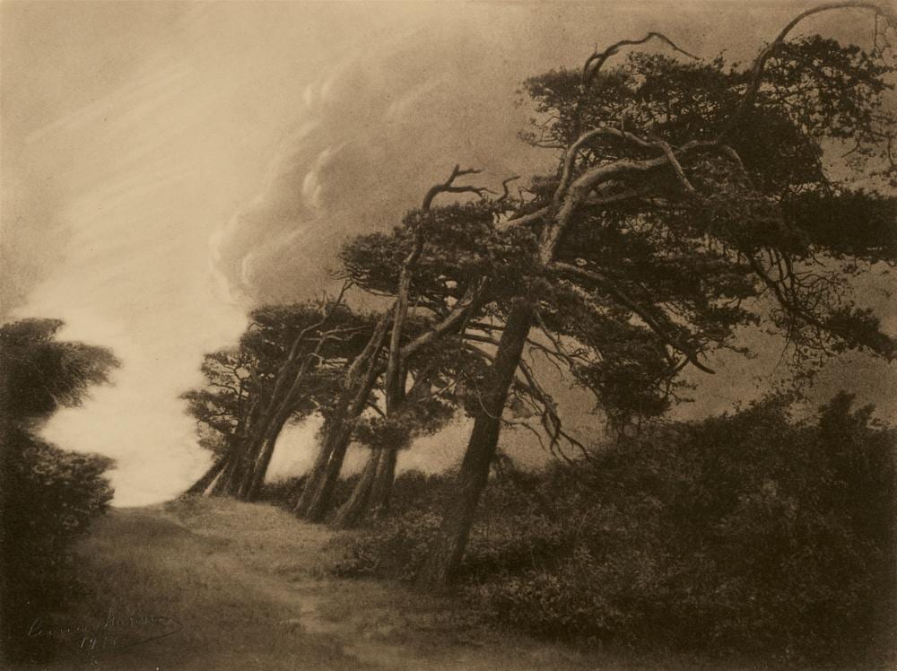 Lénard Misonne comparable auction result: l onard misonne la vie est dure 1933