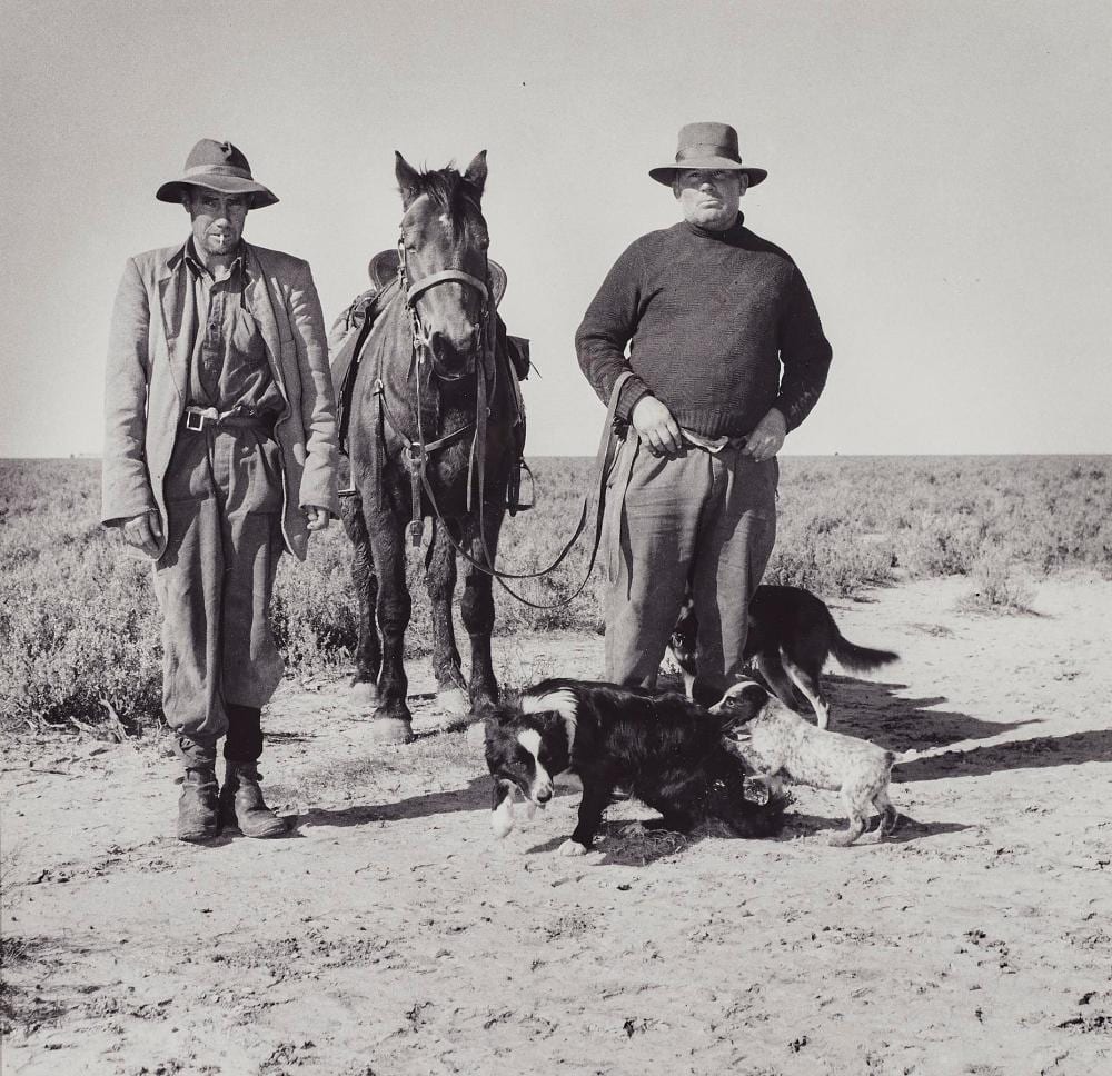 Jeff Carter comparable auction result: jeff carter sheep drovers near one tree nsw 1955