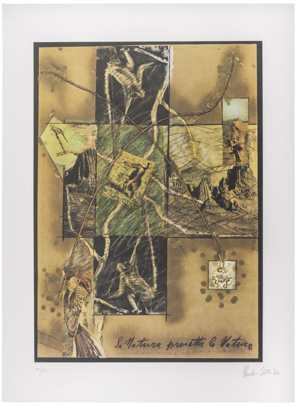Claudio Costa comparable auction result: claudio costa la natura proietta la natura