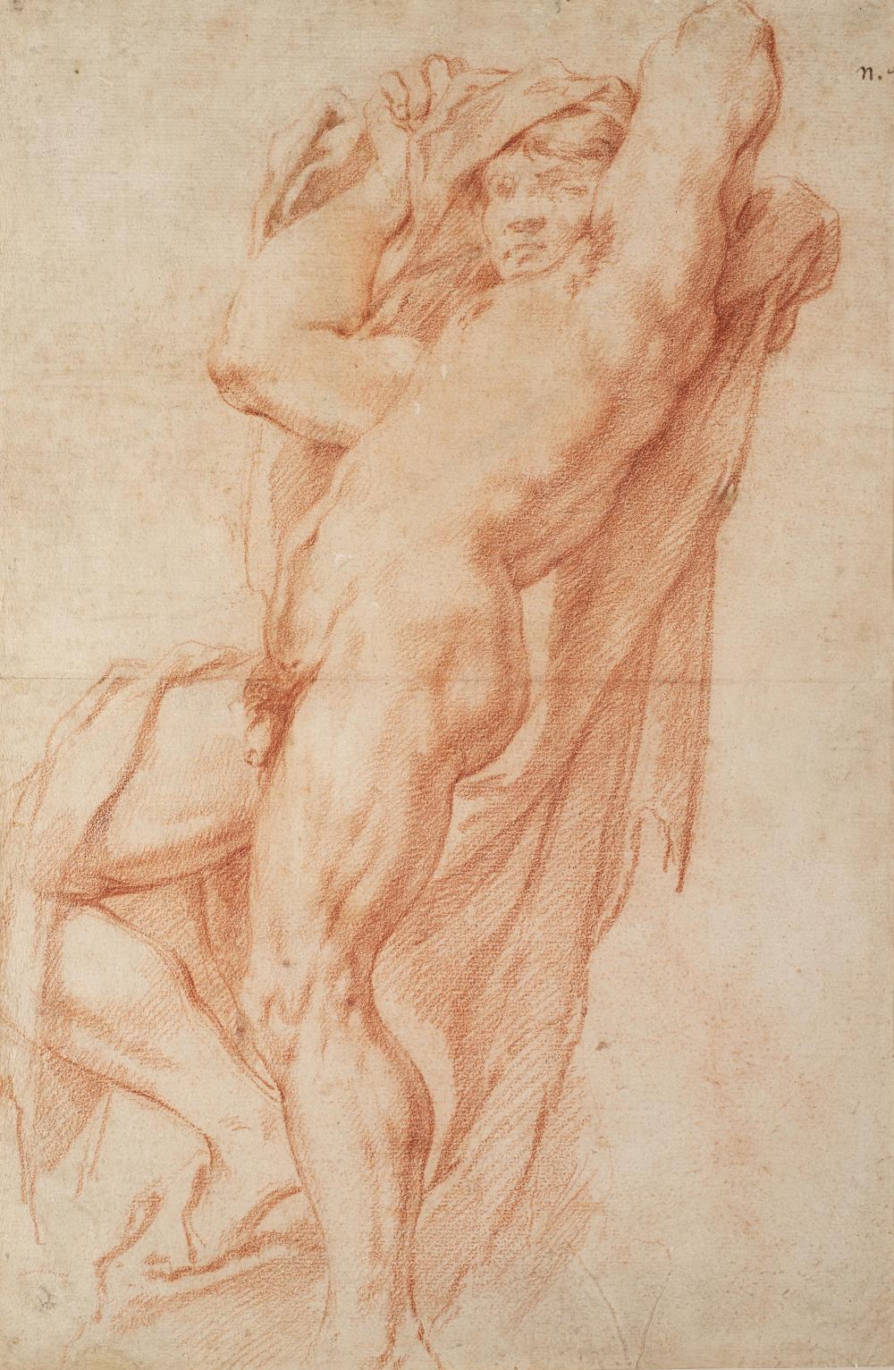 Domenico Maria Canuti comparable auction result: domenico maria canuti attr study for a standing man red chalk on paper 480x315 mm circa in frame and passepartout defects provenance federico falck milano