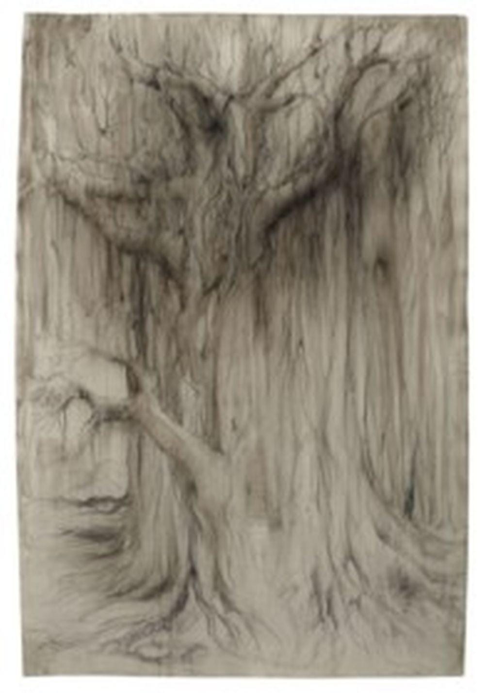 Charley Case comparable auction result: charley case n en 1969 la porte de banyan