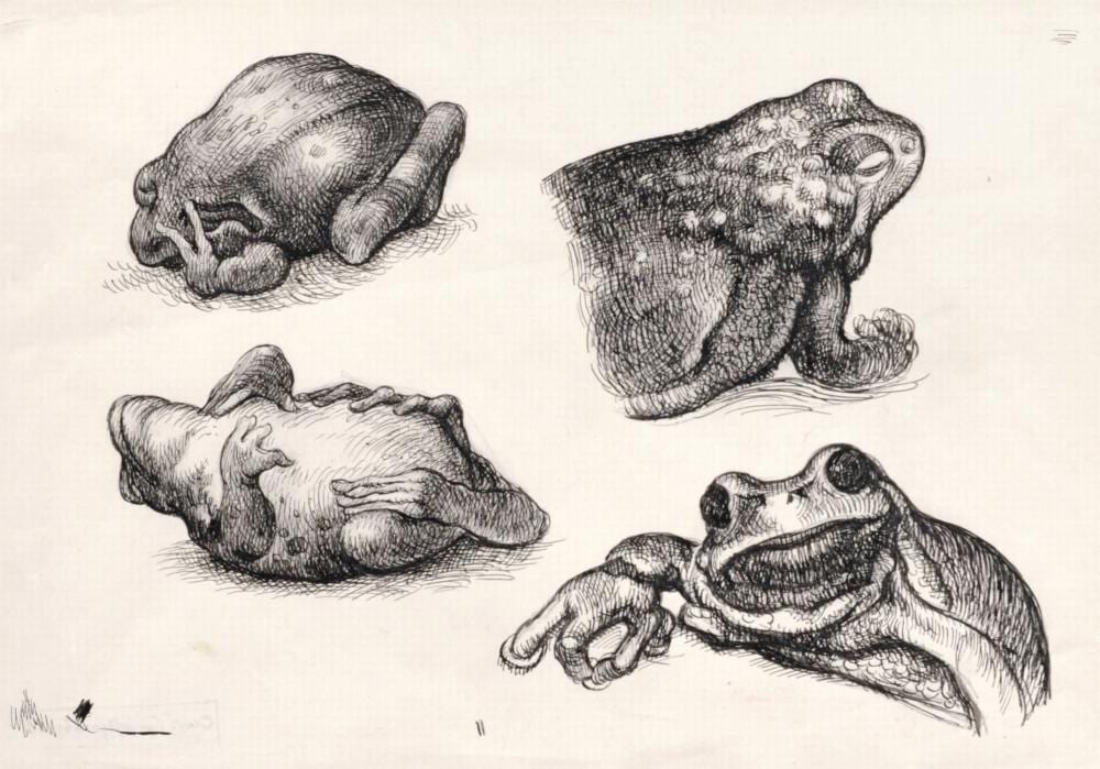 Curt Grosspietsch comparable auction result: curt grosspietsch studienblatt kroete um 1971